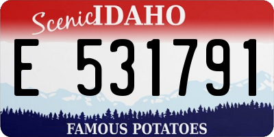 ID license plate E531791