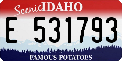 ID license plate E531793