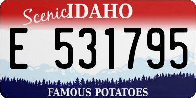 ID license plate E531795