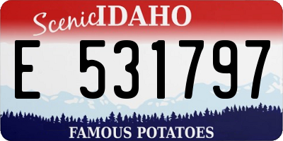 ID license plate E531797