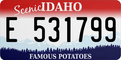 ID license plate E531799