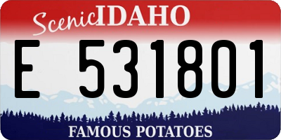 ID license plate E531801