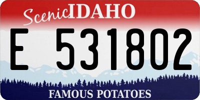 ID license plate E531802