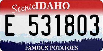 ID license plate E531803
