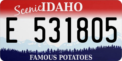 ID license plate E531805