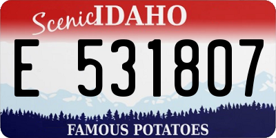 ID license plate E531807