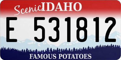 ID license plate E531812