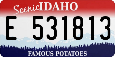 ID license plate E531813