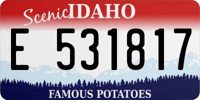 ID license plate E531817