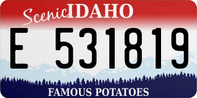 ID license plate E531819