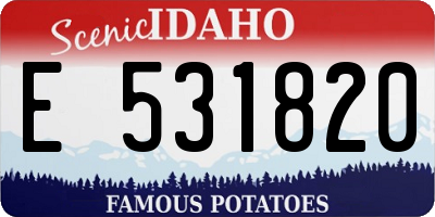ID license plate E531820