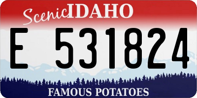 ID license plate E531824