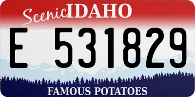ID license plate E531829