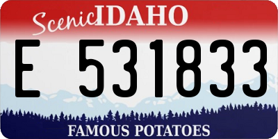 ID license plate E531833