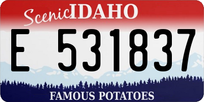 ID license plate E531837