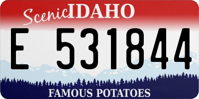 ID license plate E531844