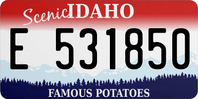 ID license plate E531850