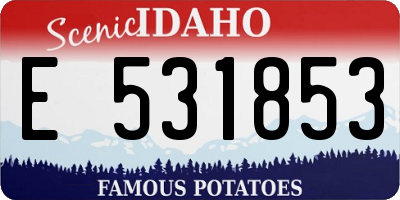 ID license plate E531853