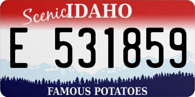 ID license plate E531859
