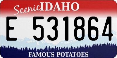 ID license plate E531864