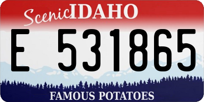 ID license plate E531865