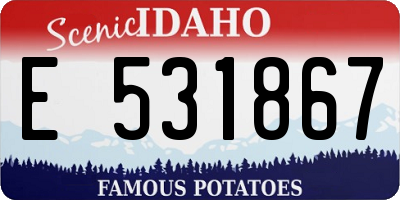 ID license plate E531867