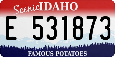 ID license plate E531873