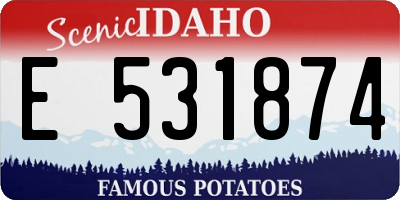 ID license plate E531874