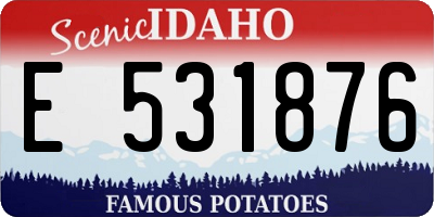 ID license plate E531876