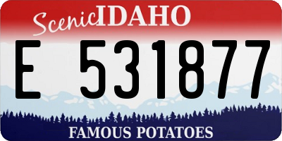 ID license plate E531877