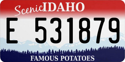 ID license plate E531879