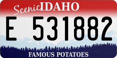 ID license plate E531882