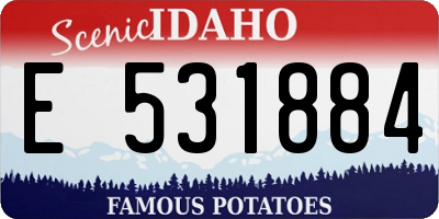 ID license plate E531884