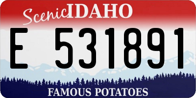ID license plate E531891