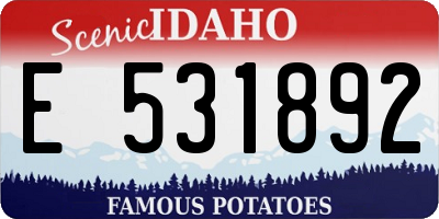 ID license plate E531892