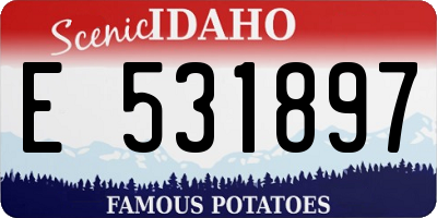 ID license plate E531897