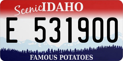 ID license plate E531900