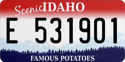 ID license plate E531901