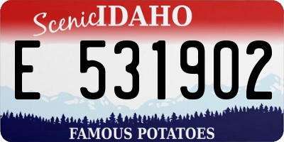 ID license plate E531902