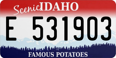 ID license plate E531903