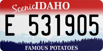 ID license plate E531905