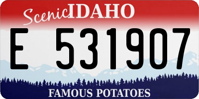ID license plate E531907