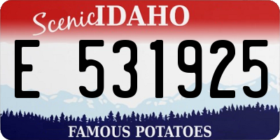ID license plate E531925