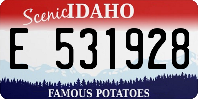 ID license plate E531928