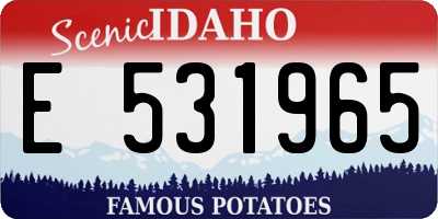 ID license plate E531965