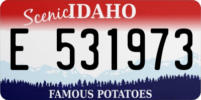 ID license plate E531973