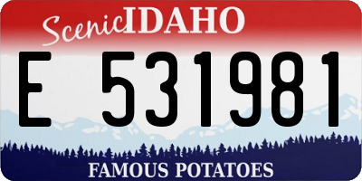 ID license plate E531981