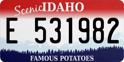 ID license plate E531982