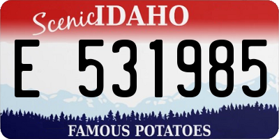 ID license plate E531985