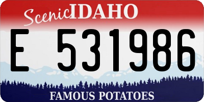 ID license plate E531986